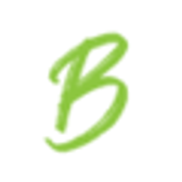Brandfisher Werbeagentur Bremen Logo