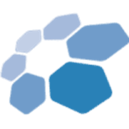 Online Solutions Group (OSG) Logo