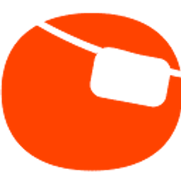 Social Media Pirates Logo