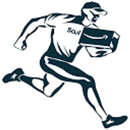 Soulutions GmbH - Verifizierte Amazon Seller Agentur für Markenhersteller Logo