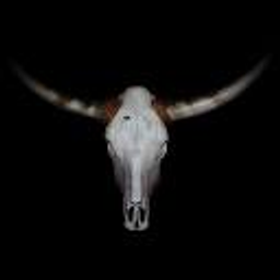 Vier für Texas GmbH & Co. KG Logo