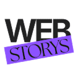 Web-Storys | Webdesign und SEO Agentur Logo